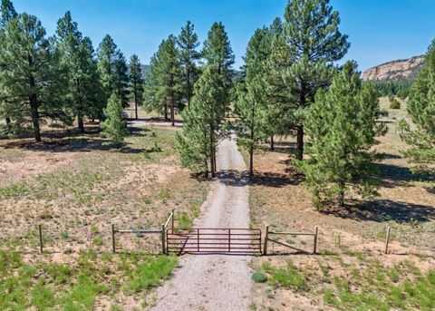 Vacant Land For Sale - 747 Timberlake Road<br/> Ramah, NM 87321