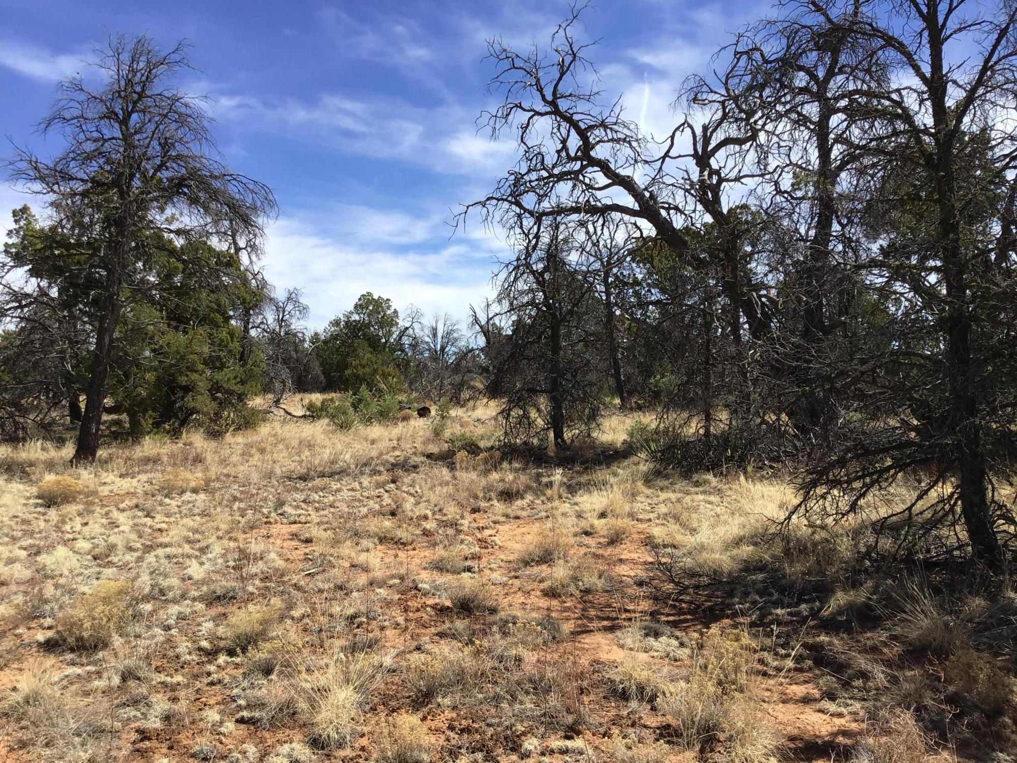 Lot 641 Gabe Road, Ramah, New Mexico image 3