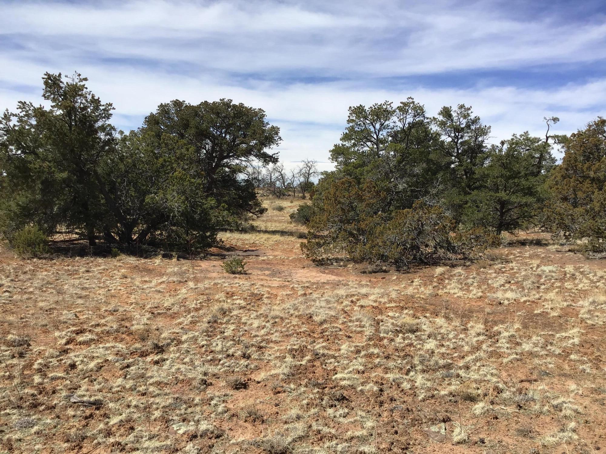 Lot 641 Gabe Road, Ramah, New Mexico image 14