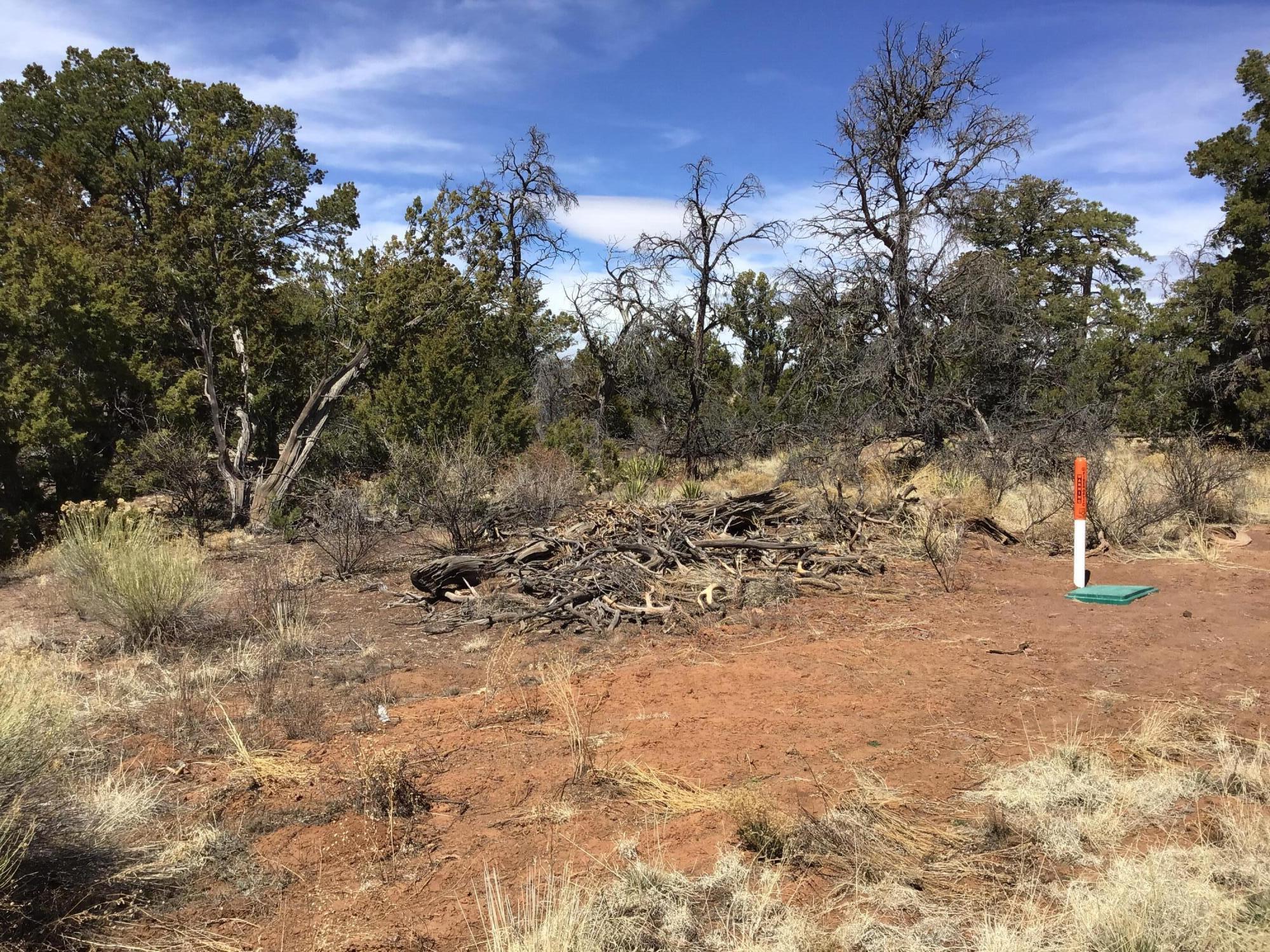 Lot 641 Gabe Road, Ramah, New Mexico image 13