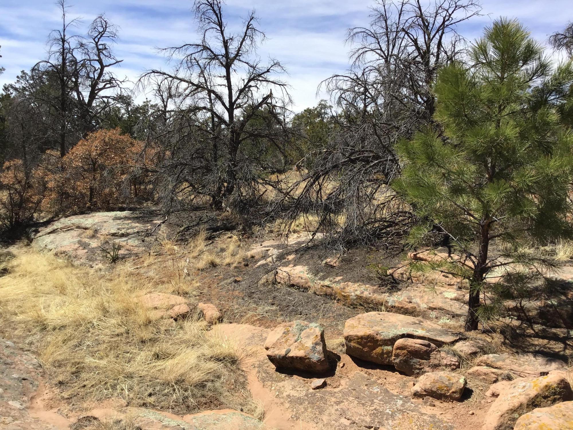 Lot 641 Gabe Road, Ramah, New Mexico image 8