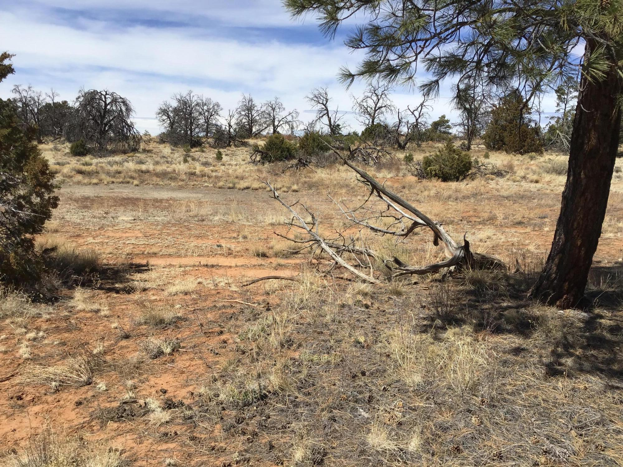 Lot 641 Gabe Road, Ramah, New Mexico image 9