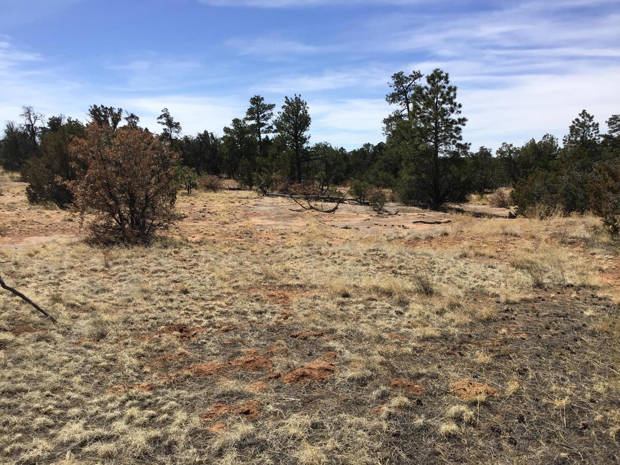 Lot 641 Gabe Road, Ramah, New Mexico image 10