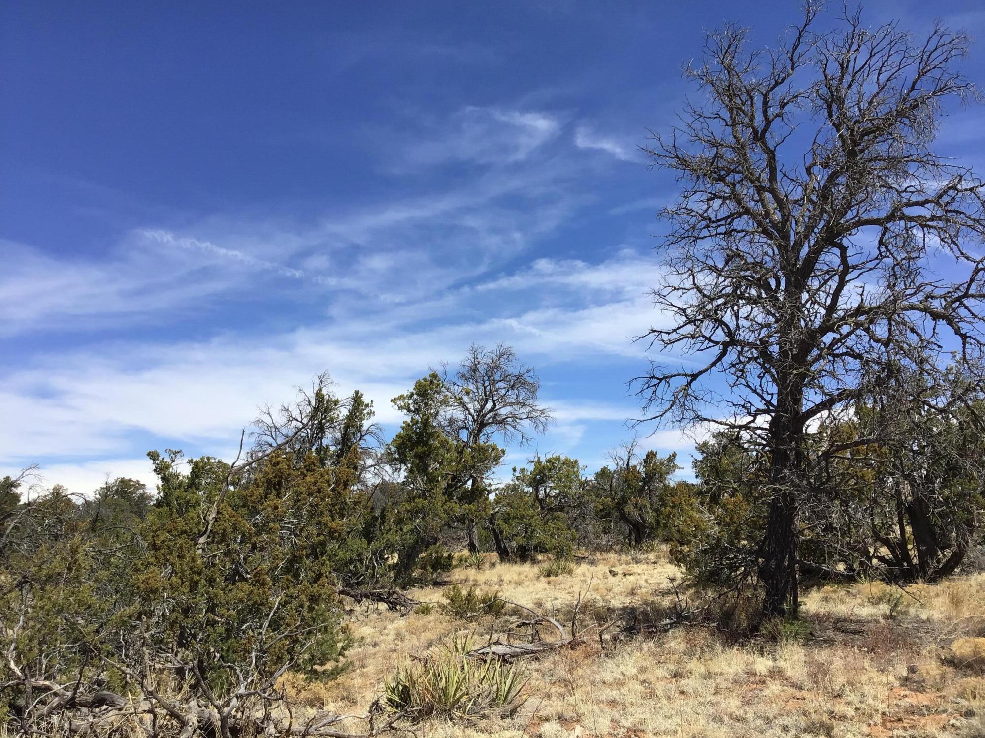 Lot 641 Gabe Road, Ramah, New Mexico image 4