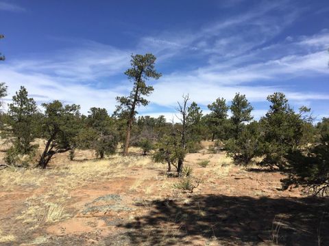 Vacant Land For Sale - LOT 641 Gabe Road<br/> Ramah, NM 87321
