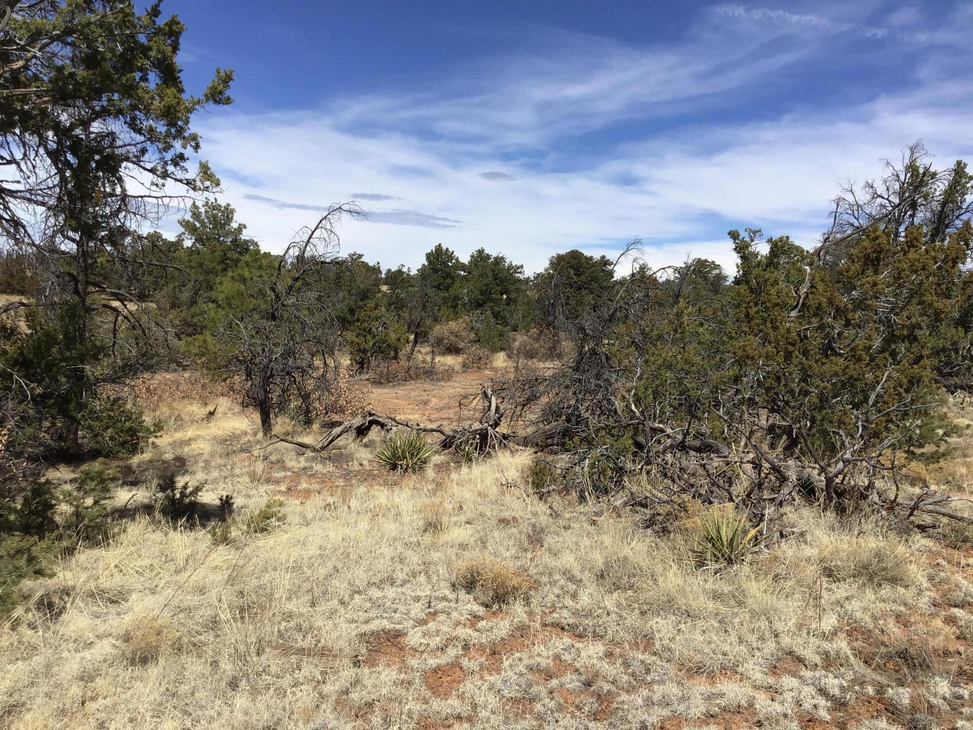 Lot 641 Gabe Road, Ramah, New Mexico image 5