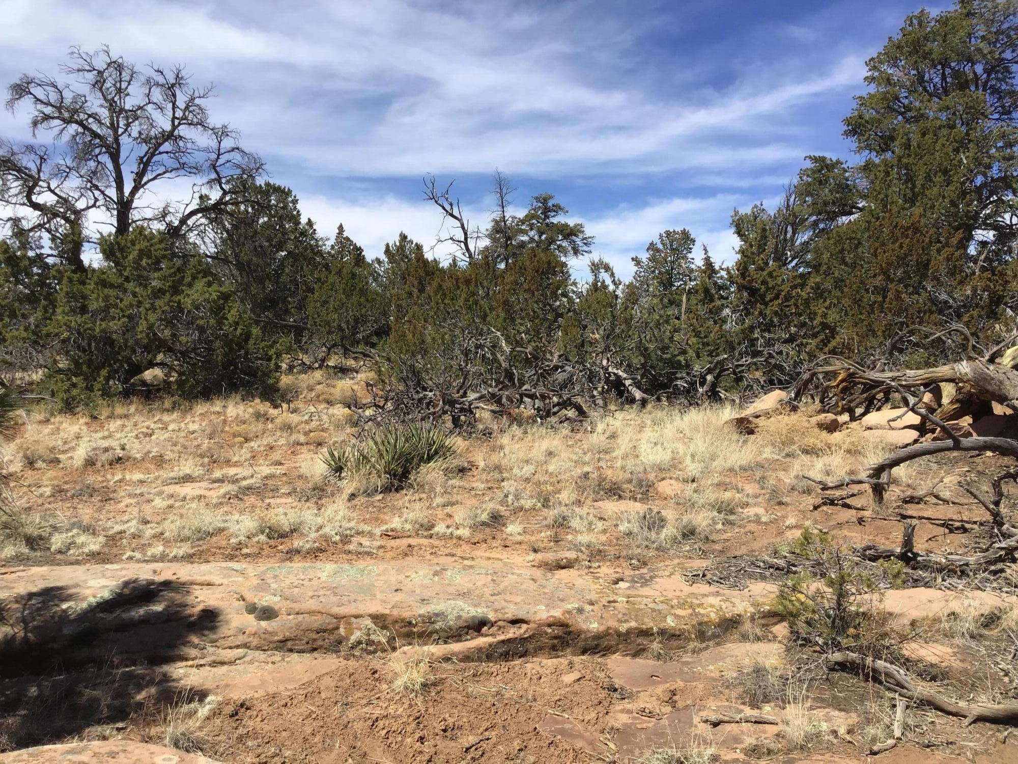 Lot 641 Gabe Road, Ramah, New Mexico image 7
