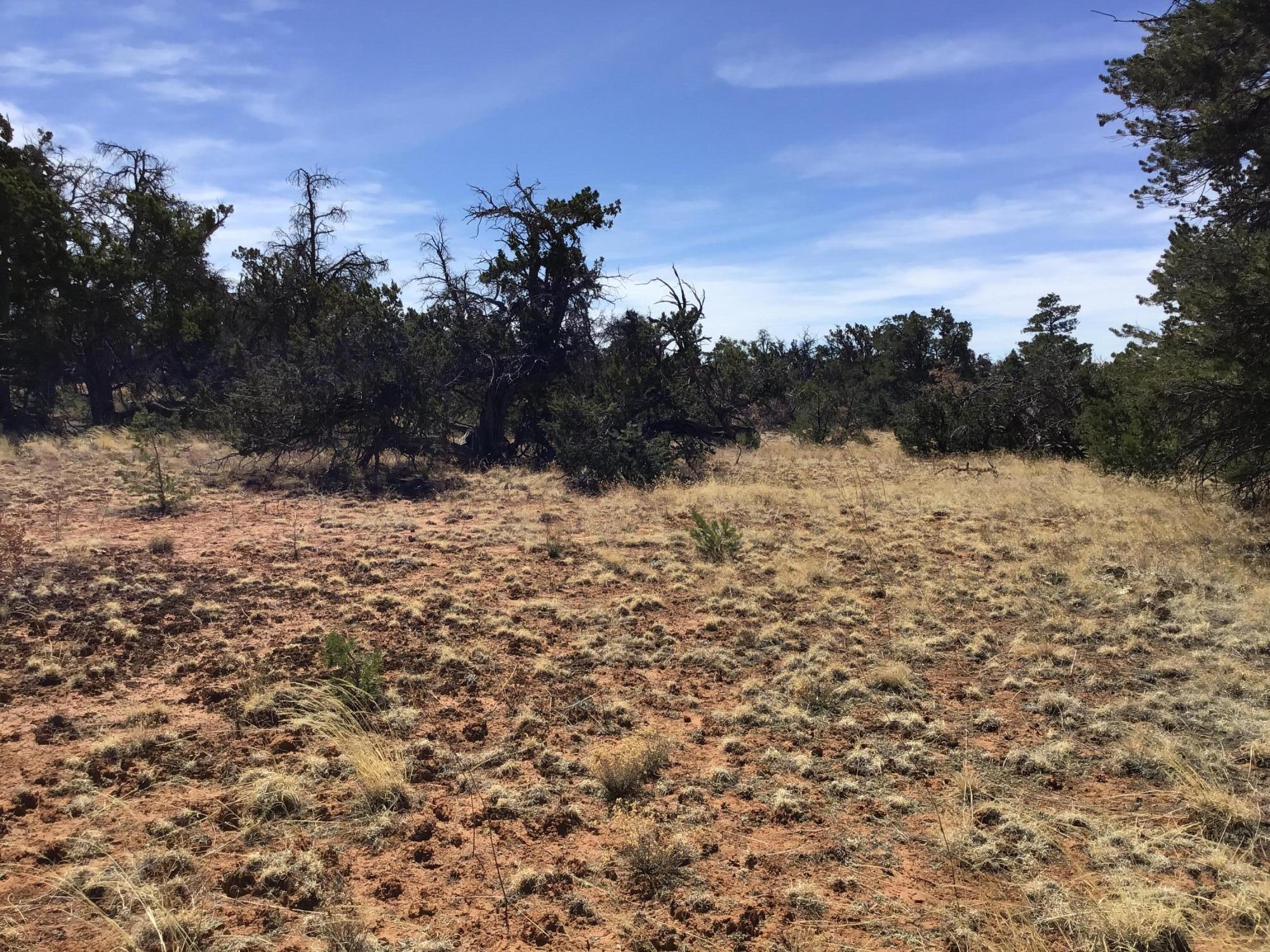 Lot 641 Gabe Road, Ramah, New Mexico image 11
