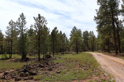 Vacant Land For Sale - LOT 44 Rhyolite Road<br/> Grants, NM 87020