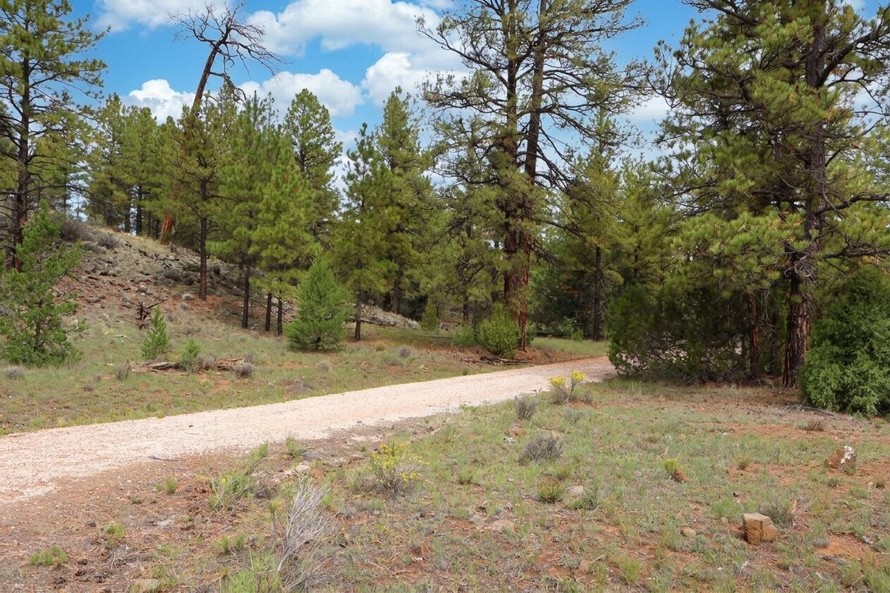 Lot 44 Rhyolite Road