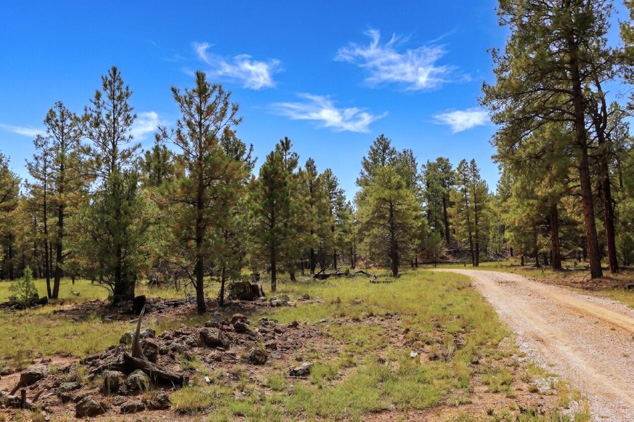 Lot 44 Rhyolite Road