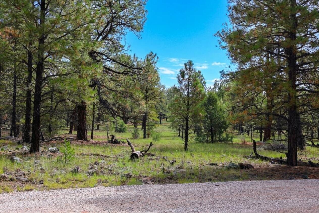 Lot 44 Rhyolite Road