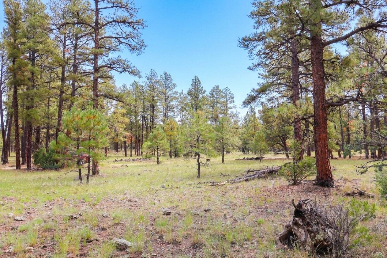 Lot 44 Rhyolite Road
