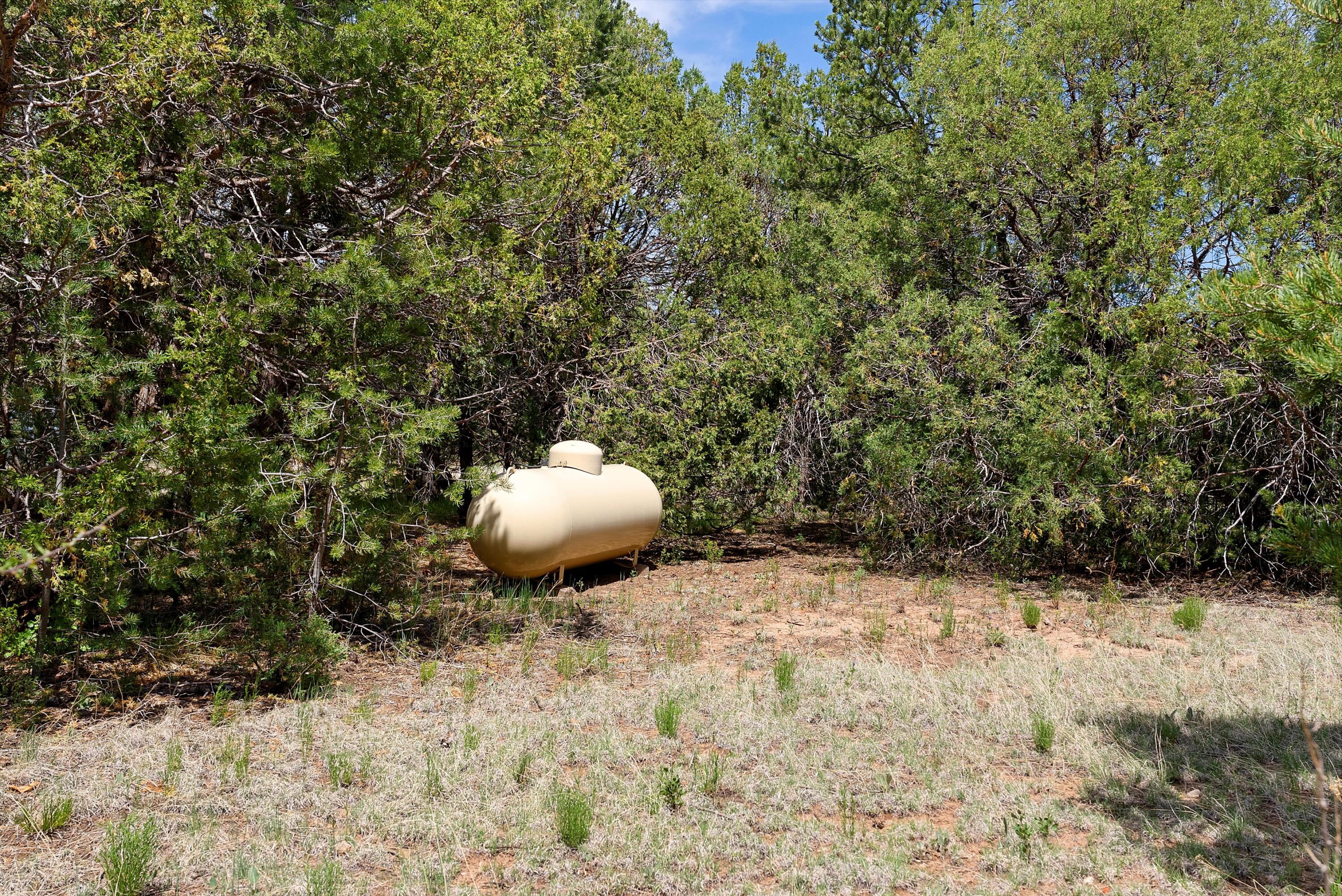 20 Hummingbird Lane, Tijeras, New Mexico image 43