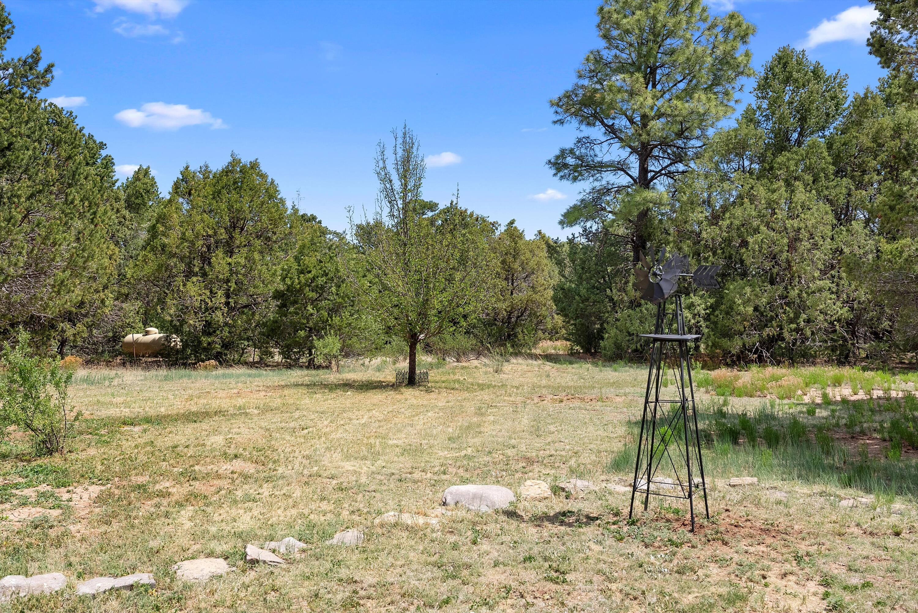 20 Hummingbird Lane, Tijeras, New Mexico image 42