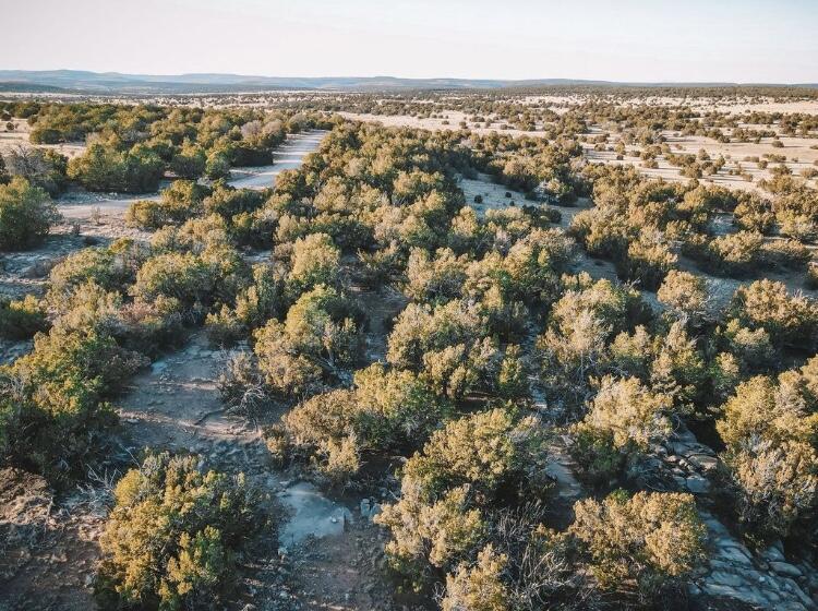 Mission Hills Lot 17, Estancia, New Mexico image 1