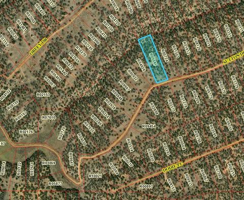 Vacant Land For Sale - LOT 823 Sutton Drive<br/> Ramah, NM 87321