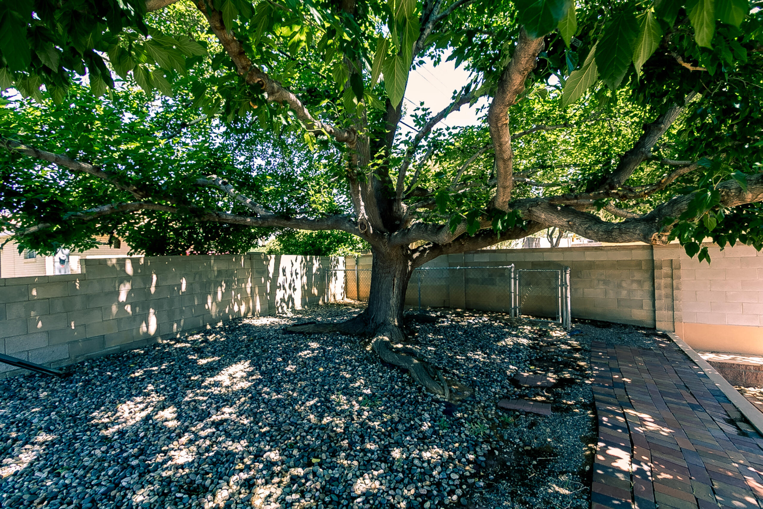 3625 Erbbe Street, Albuquerque, New Mexico image 45