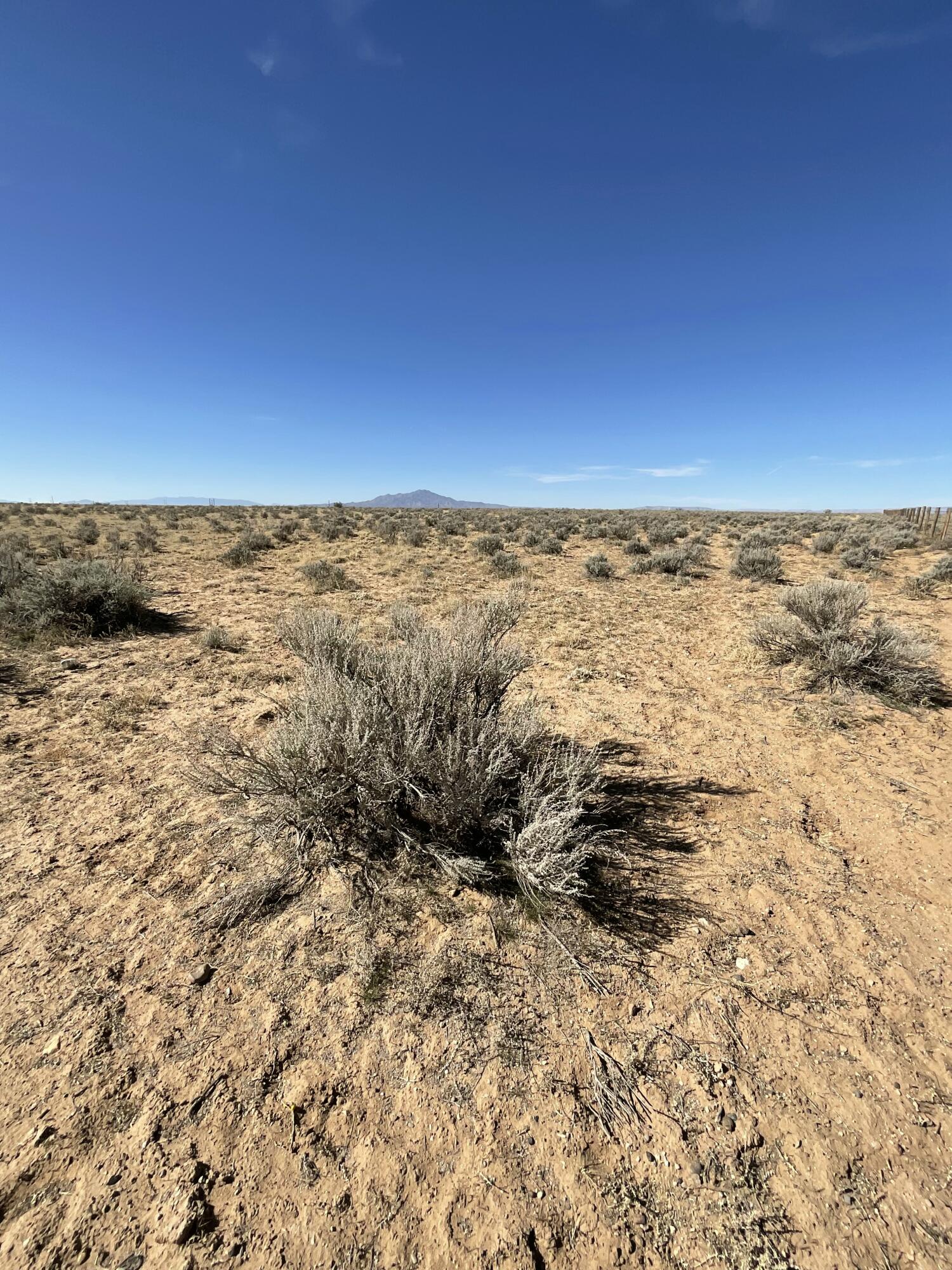 Off Jensen & Paradise