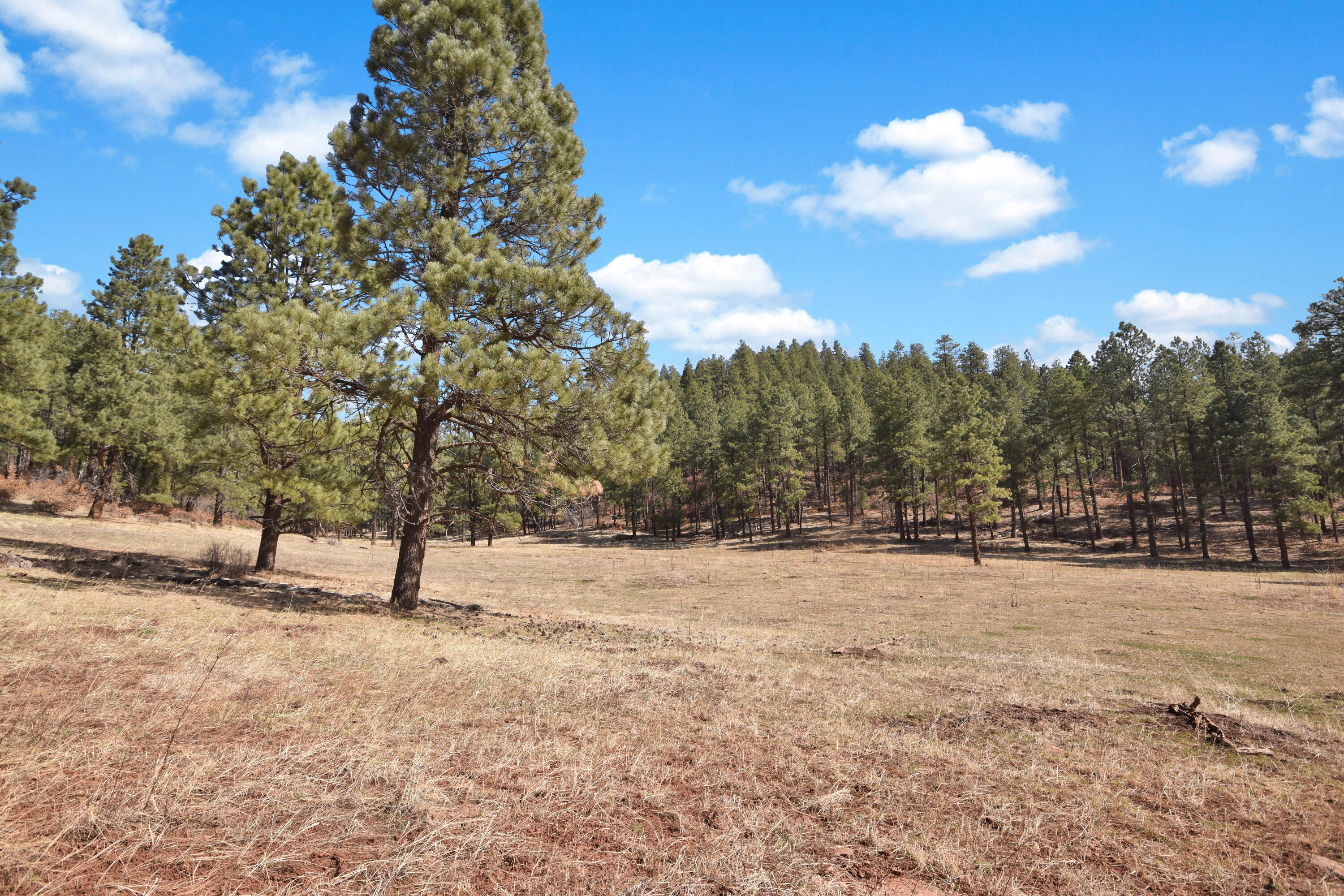 Nm State Rd 126, Jemez Springs, New Mexico image 5