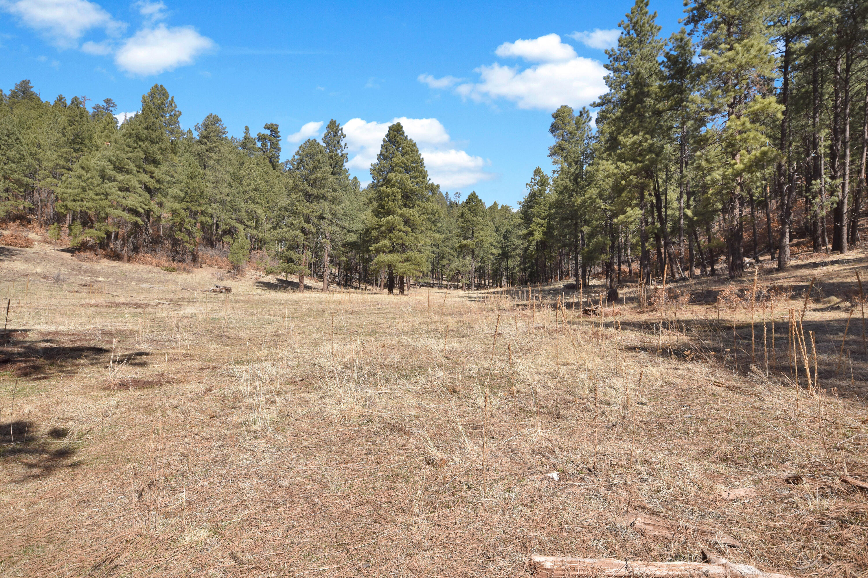 Nm State Rd 126, Jemez Springs, New Mexico image 17