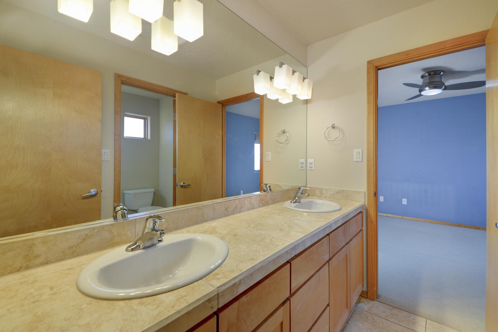 9832 Buckeye Street, Albuquerque, New Mexico image 31