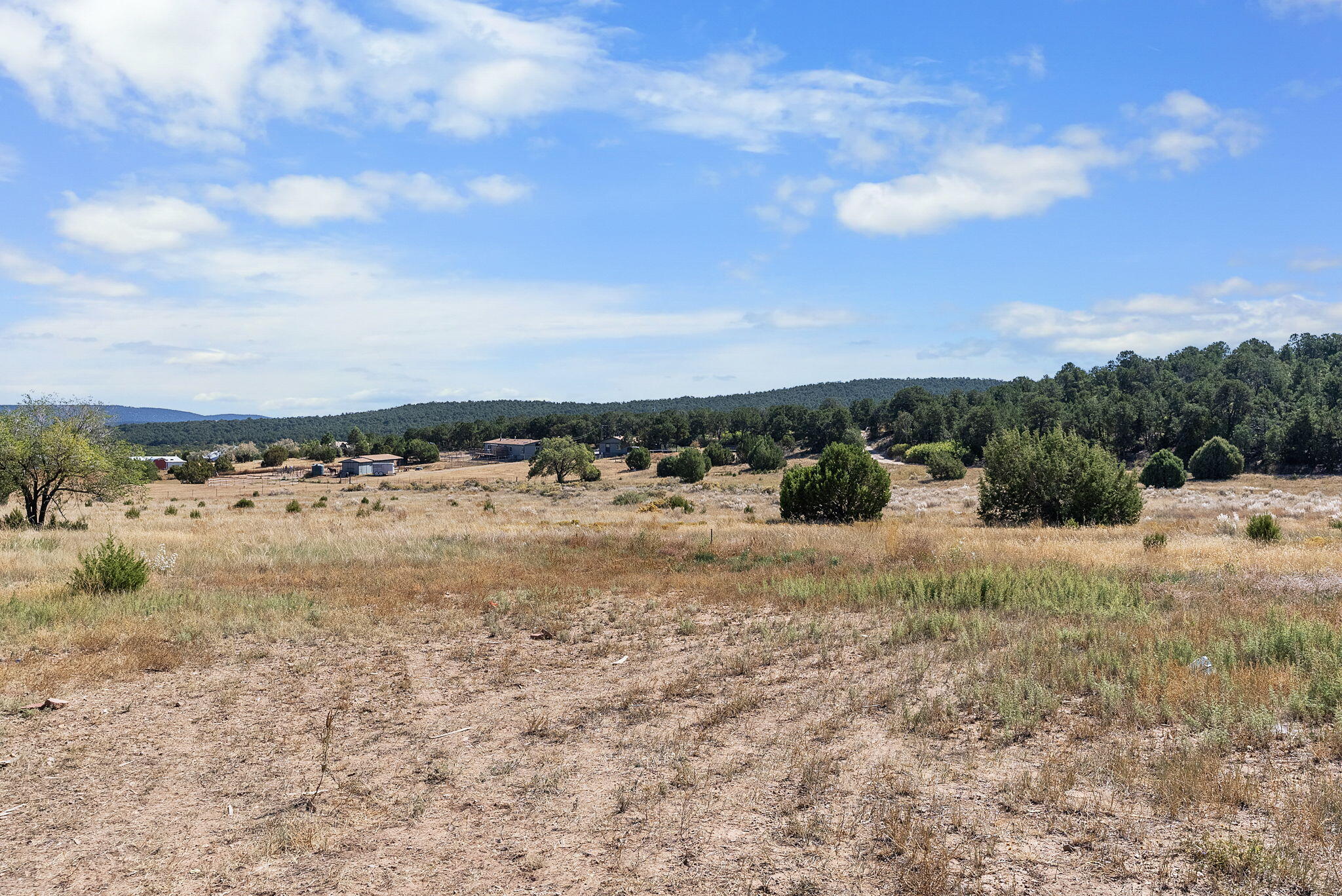 190 Brannan Road, Tijeras, New Mexico image 34