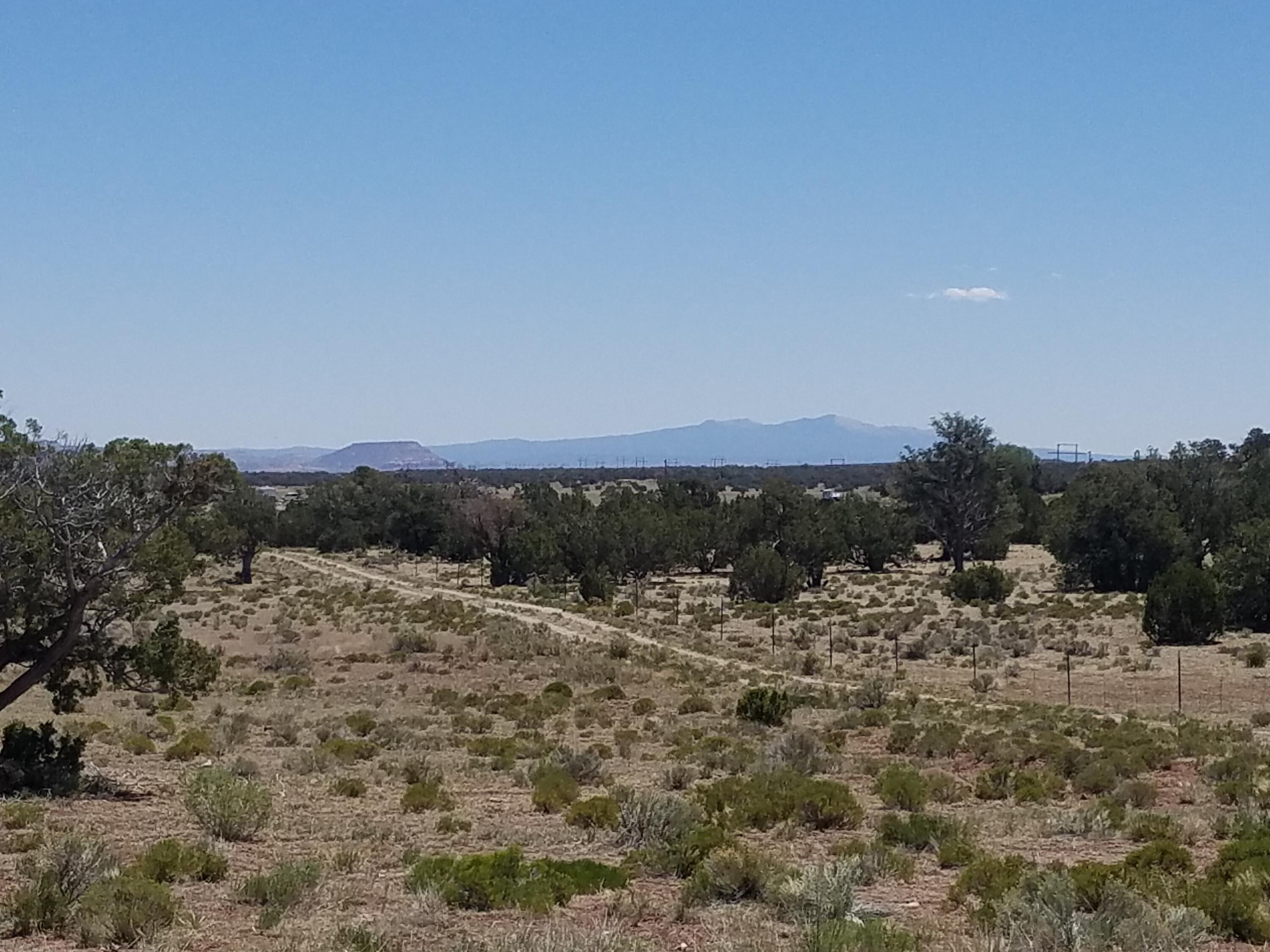Tbd Nm 612, Thoreau, New Mexico image 10