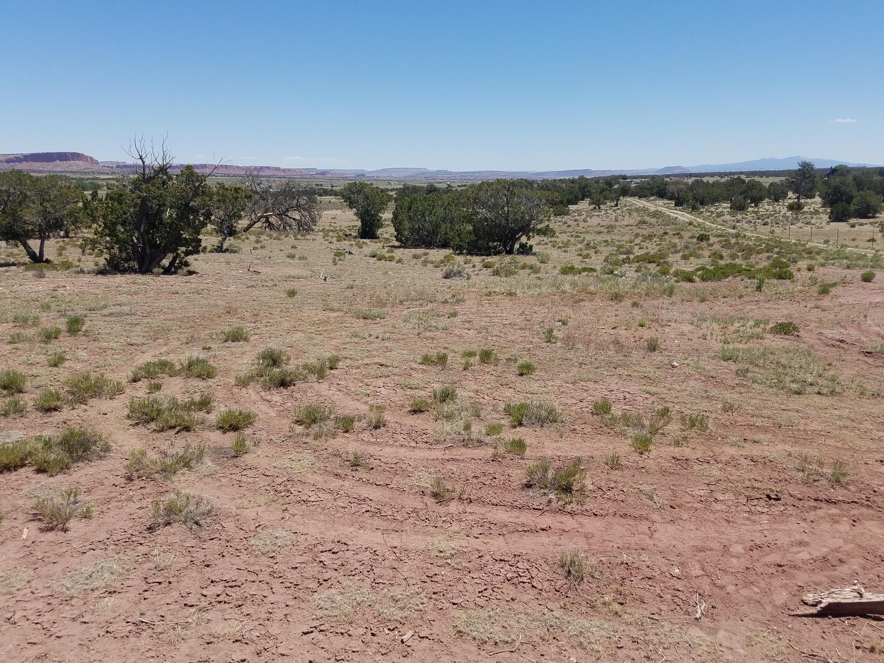 Tbd Nm 612, Thoreau, New Mexico image 11