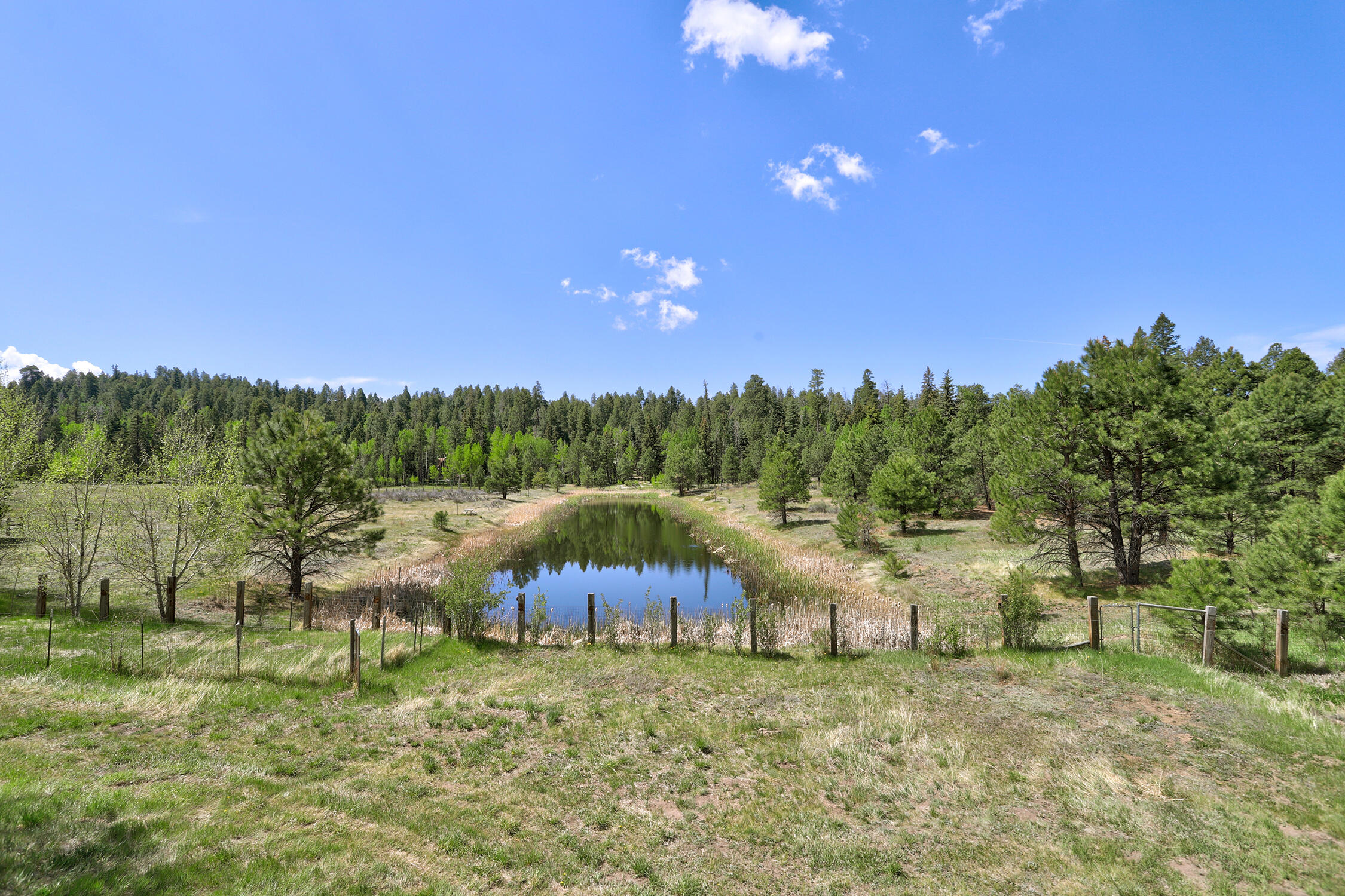 280 Ponderosa Way, Jemez Springs, New Mexico image 28