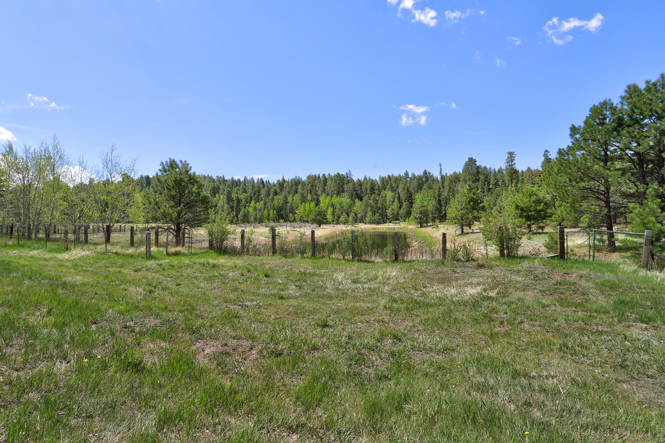 280 Ponderosa Way, Jemez Springs, New Mexico image 29