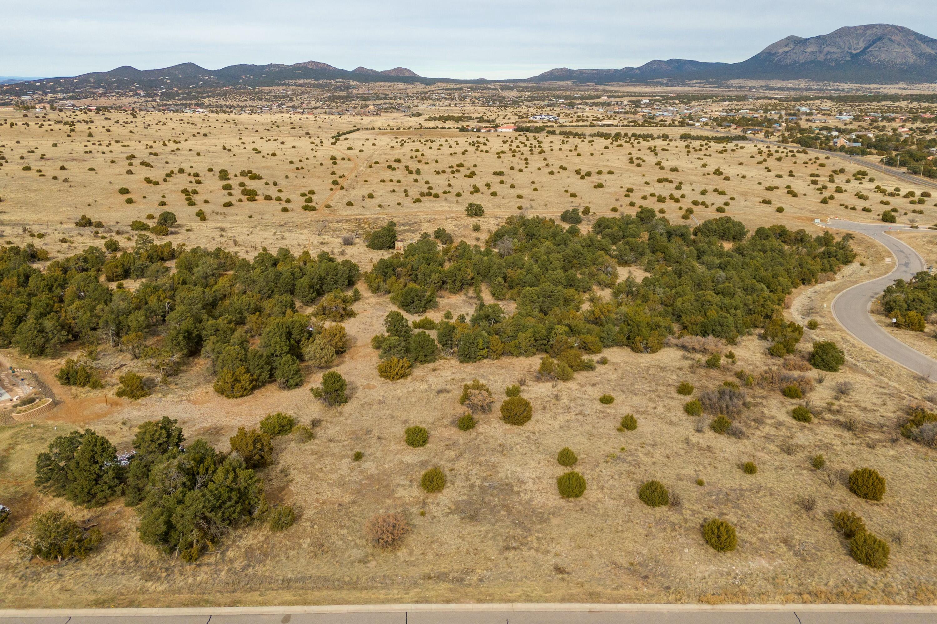 19 Bolivar Loop, Tijeras, New Mexico image 2