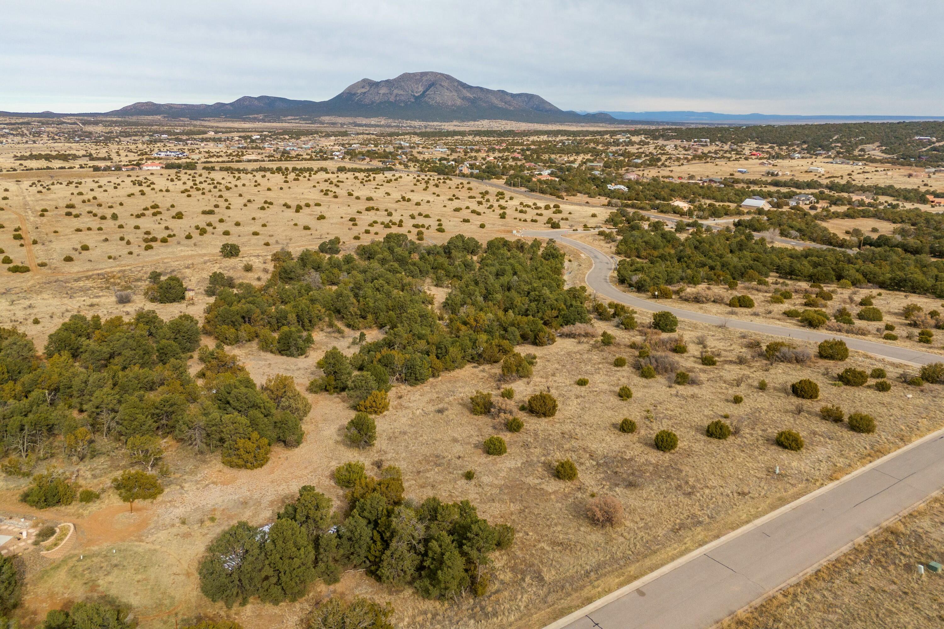 19 Bolivar Loop, Tijeras, New Mexico image 10