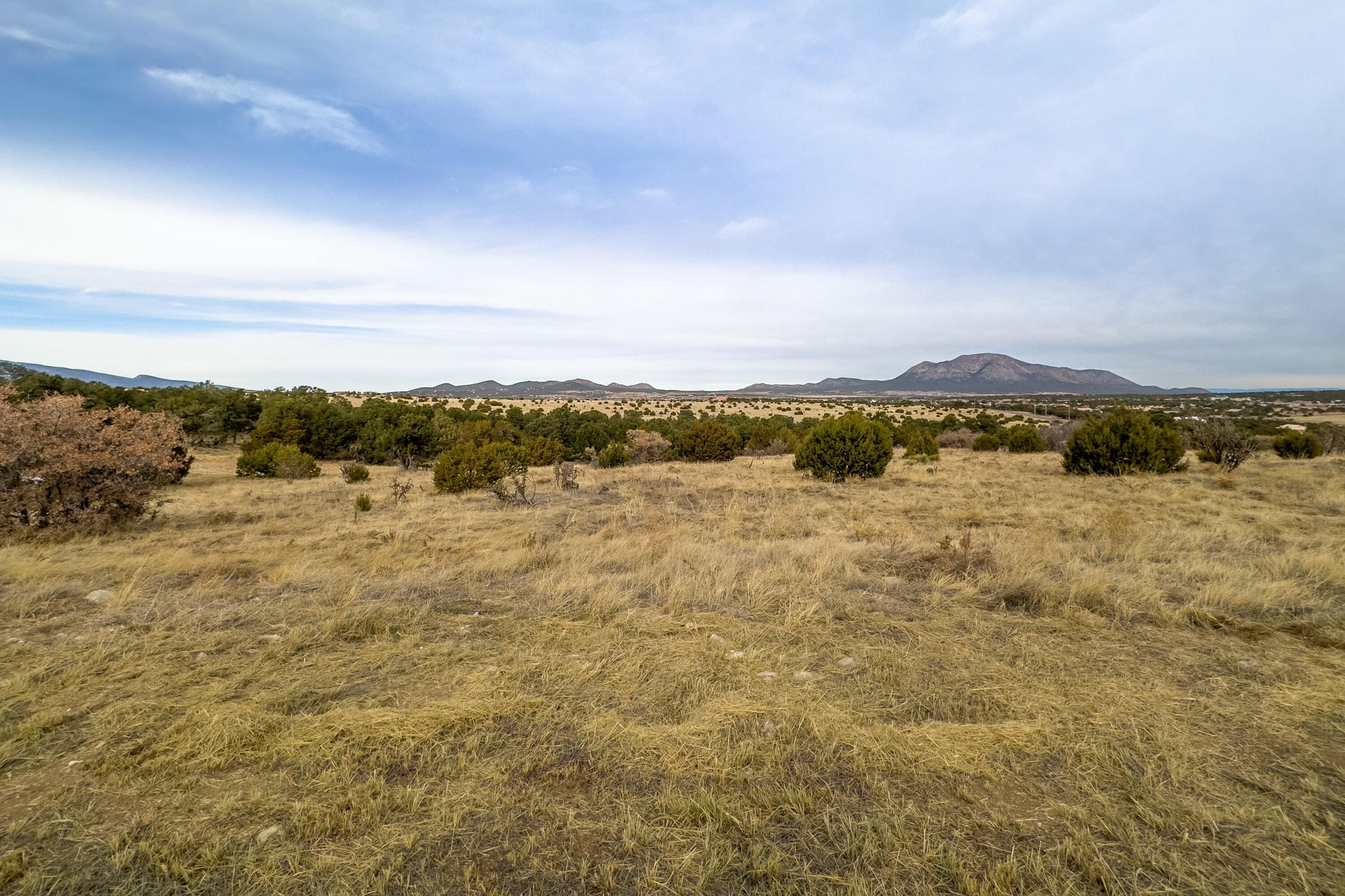 19 Bolivar Loop, Tijeras, New Mexico image 8