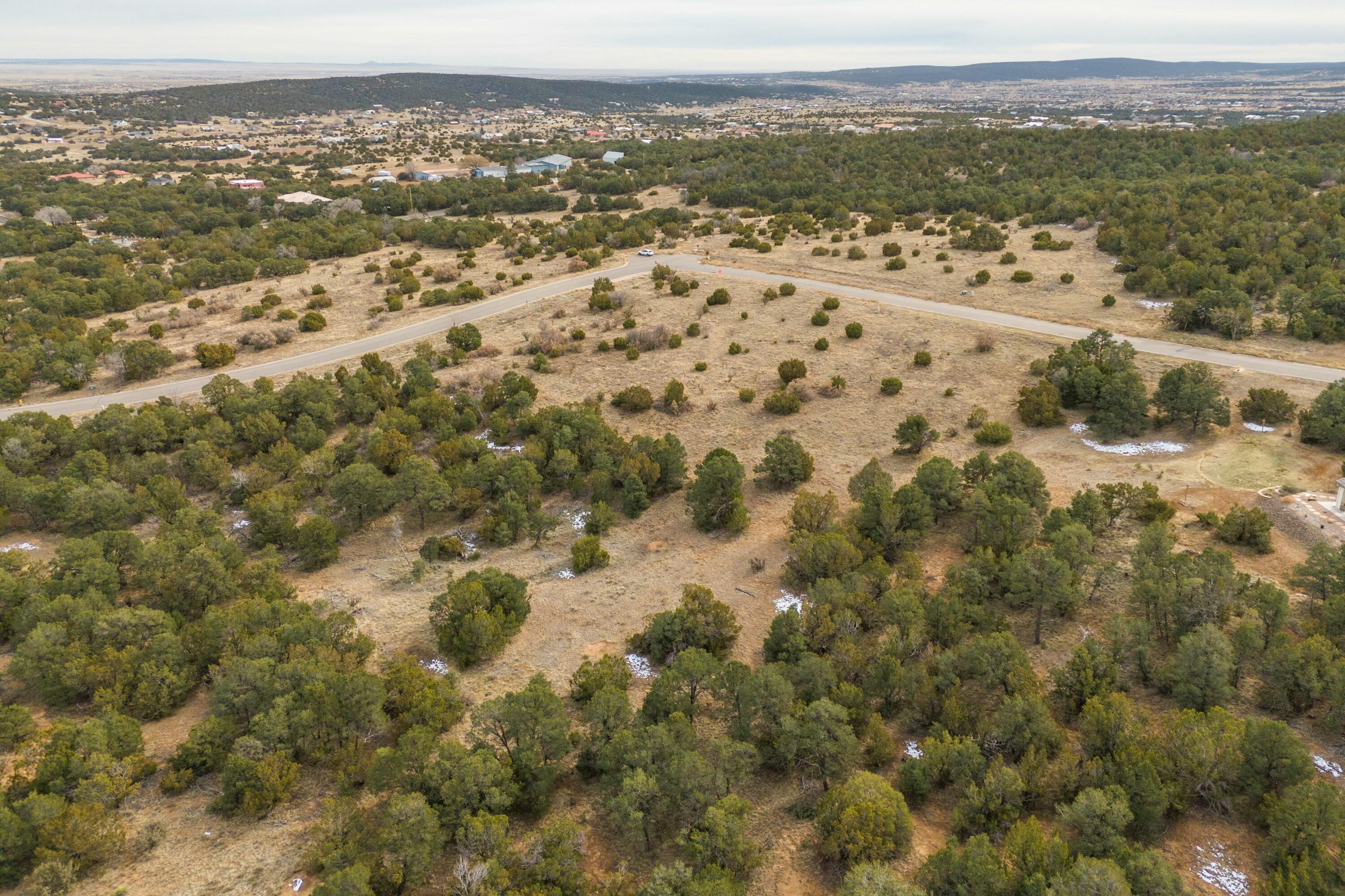 19 Bolivar Loop, Tijeras, New Mexico image 1