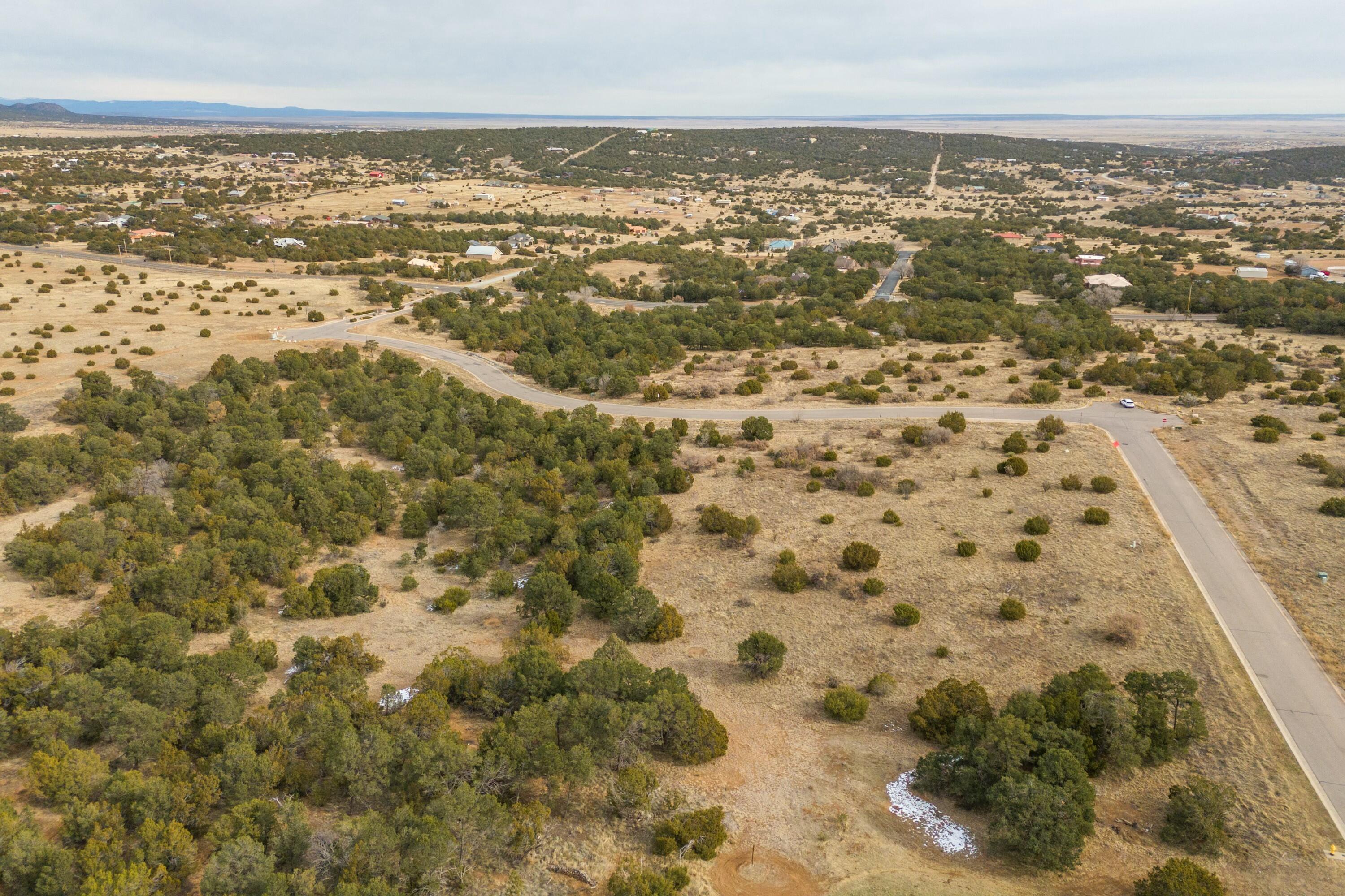 19 Bolivar Loop, Tijeras, New Mexico image 9