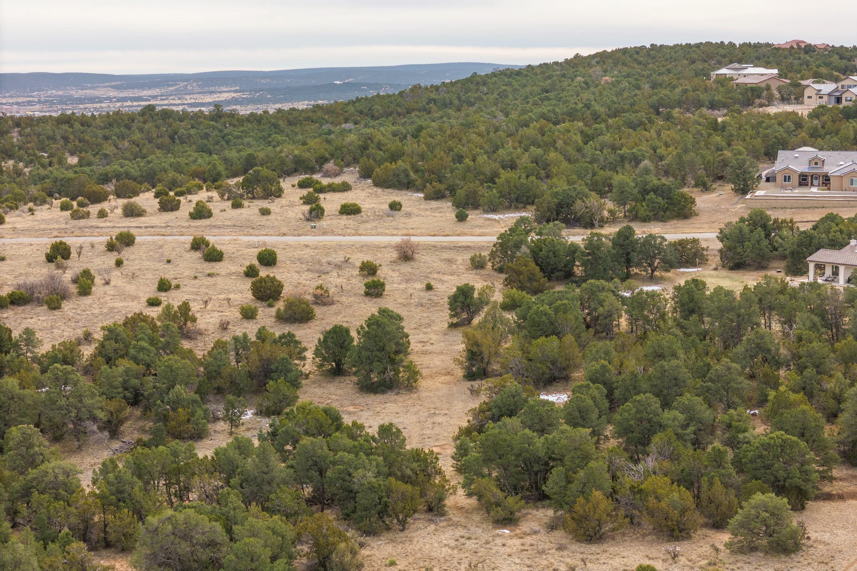 19 Bolivar Loop, Tijeras, New Mexico image 3