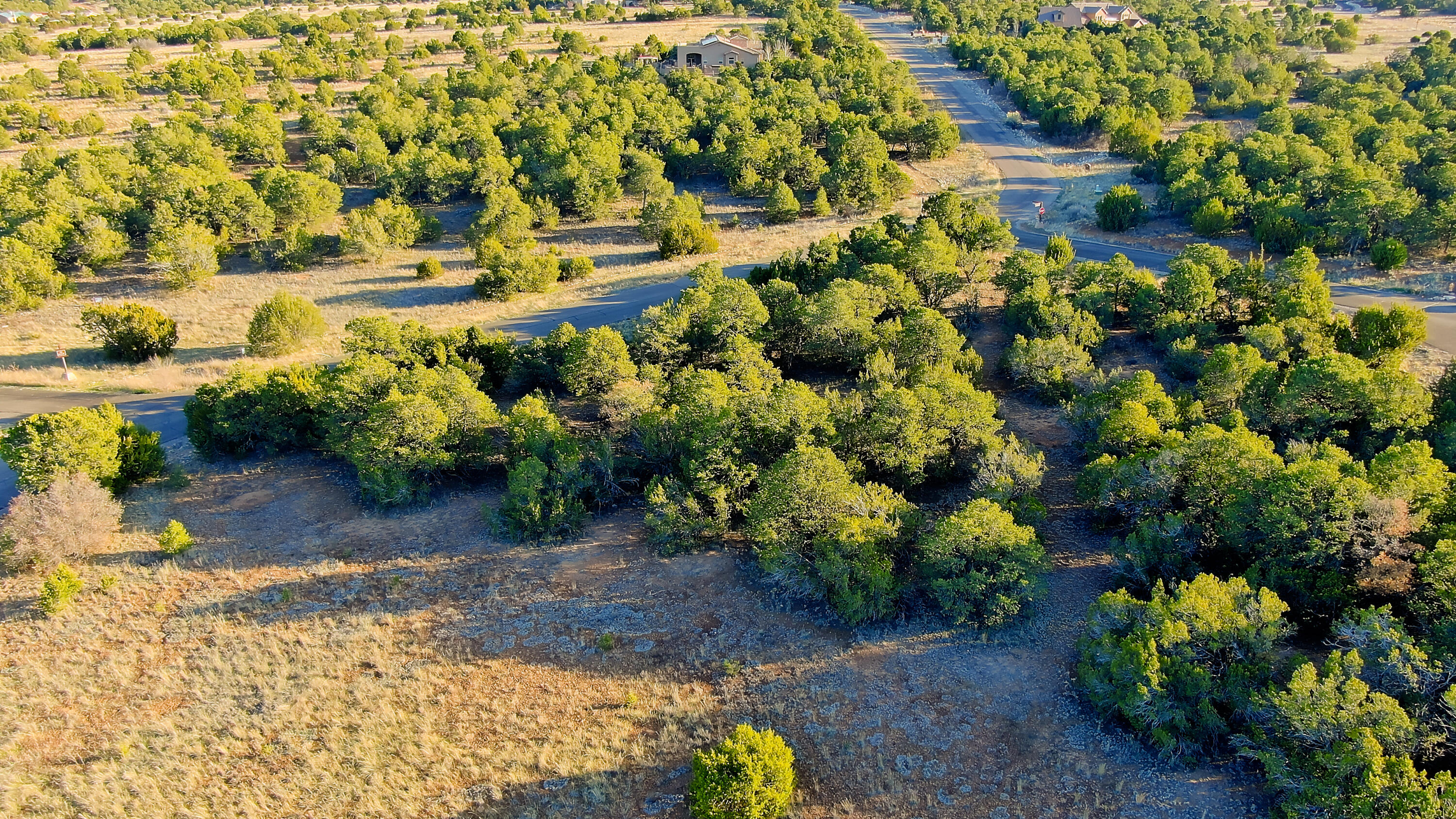 2 Cougar Court, Tijeras, New Mexico image 5