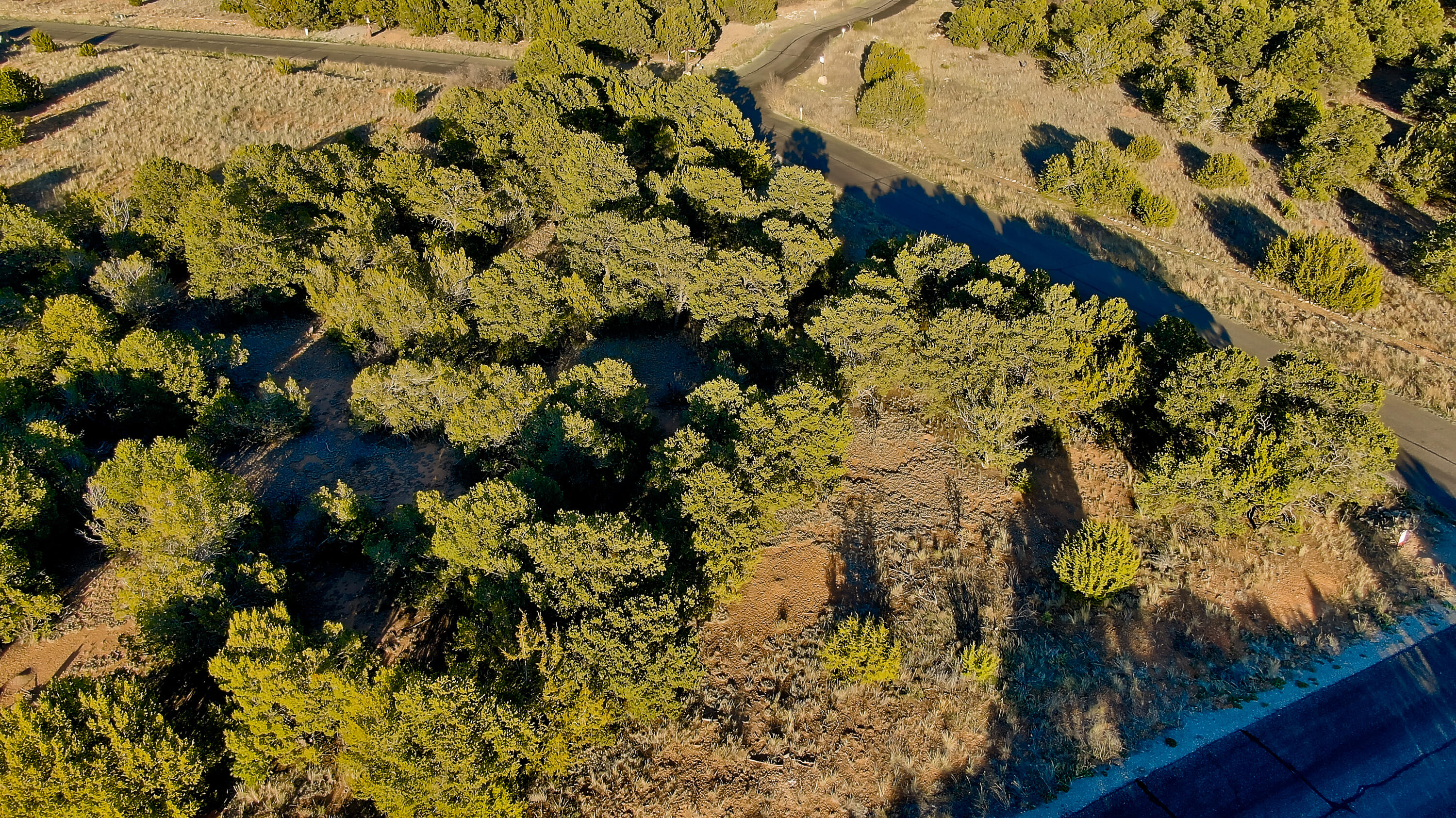 2 Cougar Court, Tijeras, New Mexico image 8