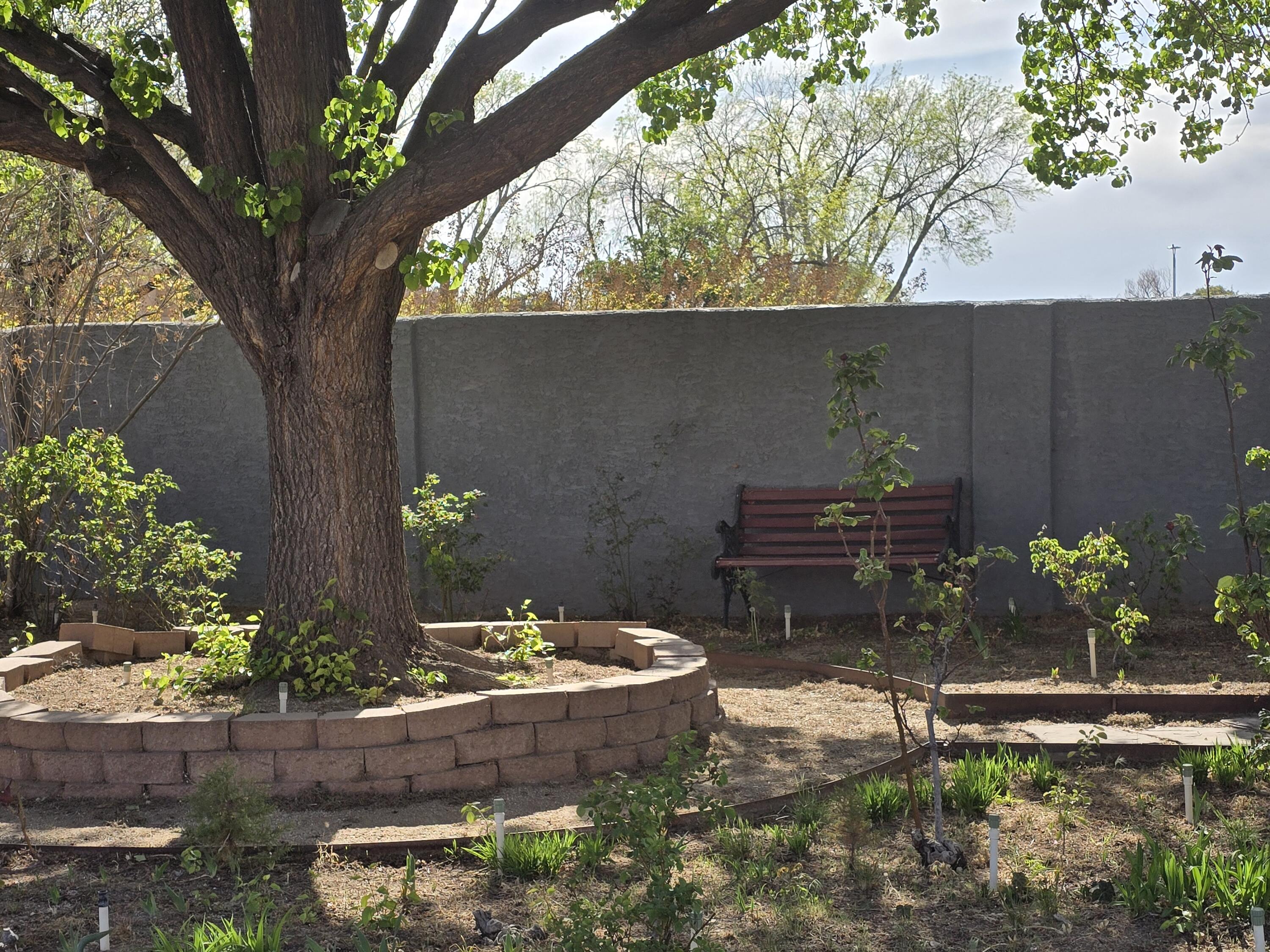 7901 Hendrix Avenue, Albuquerque, New Mexico image 8