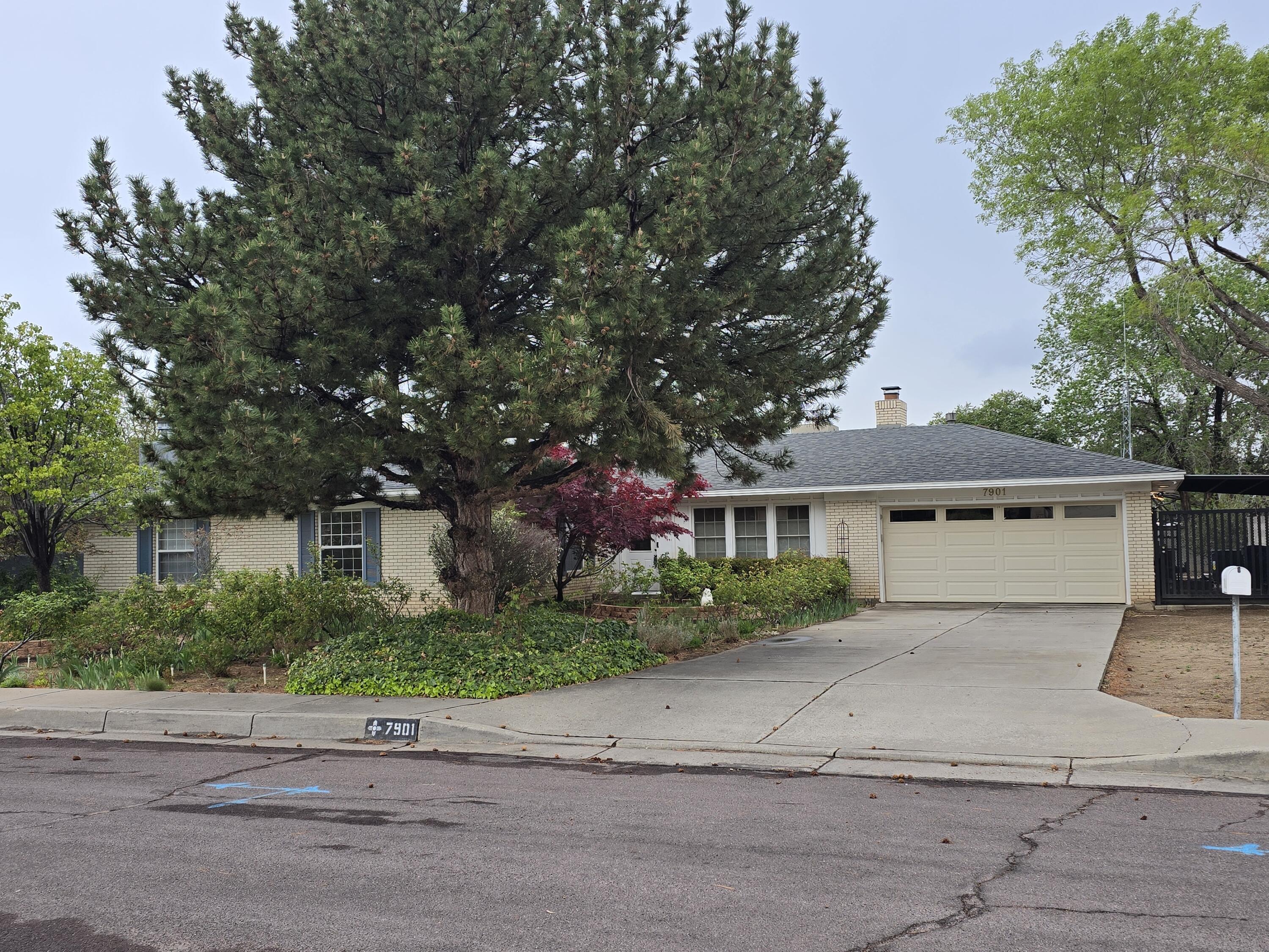 7901 Hendrix Avenue, Albuquerque, New Mexico image 1