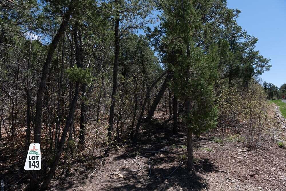 9 Los Pecos Lp Loop, Tijeras, New Mexico image 3