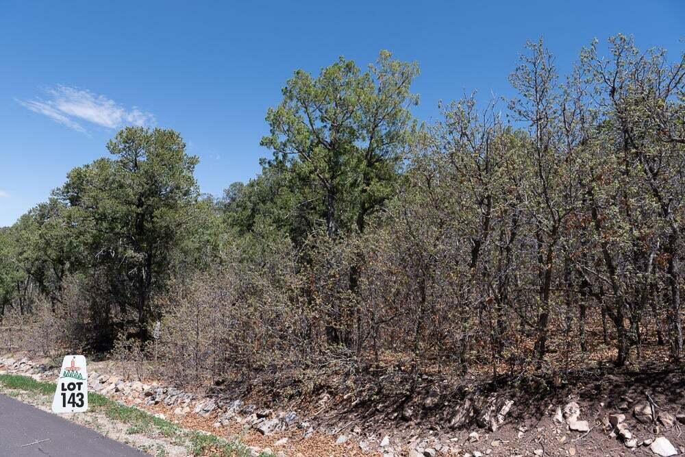 9 Los Pecos Lp Loop, Tijeras, New Mexico image 6