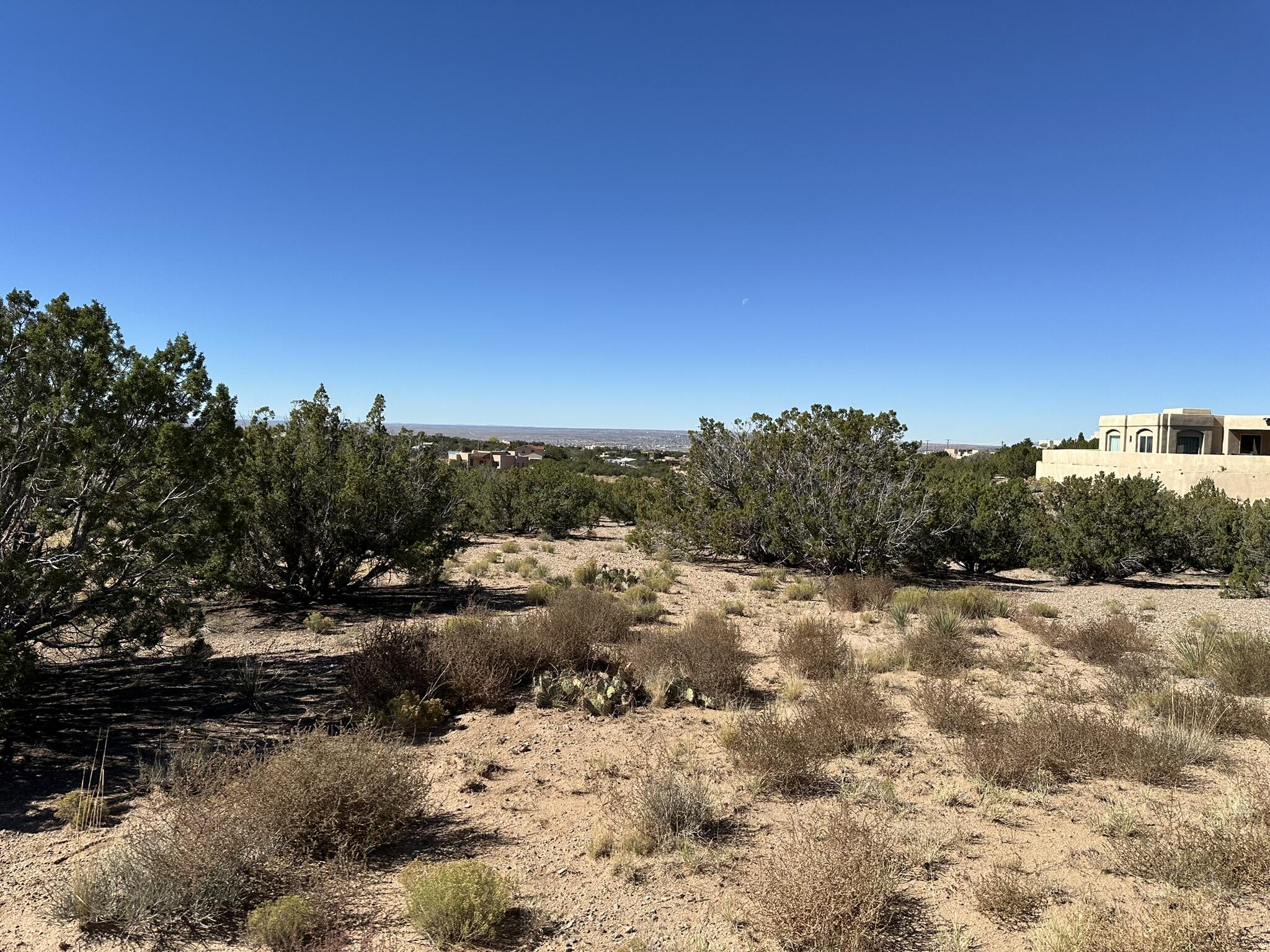 Evening Star Court, Placitas, New Mexico image 8