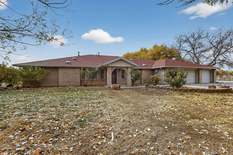 Photo of 507 Zartman Road SW, Albuquerque, NM 87105 (MLS # 1095075)