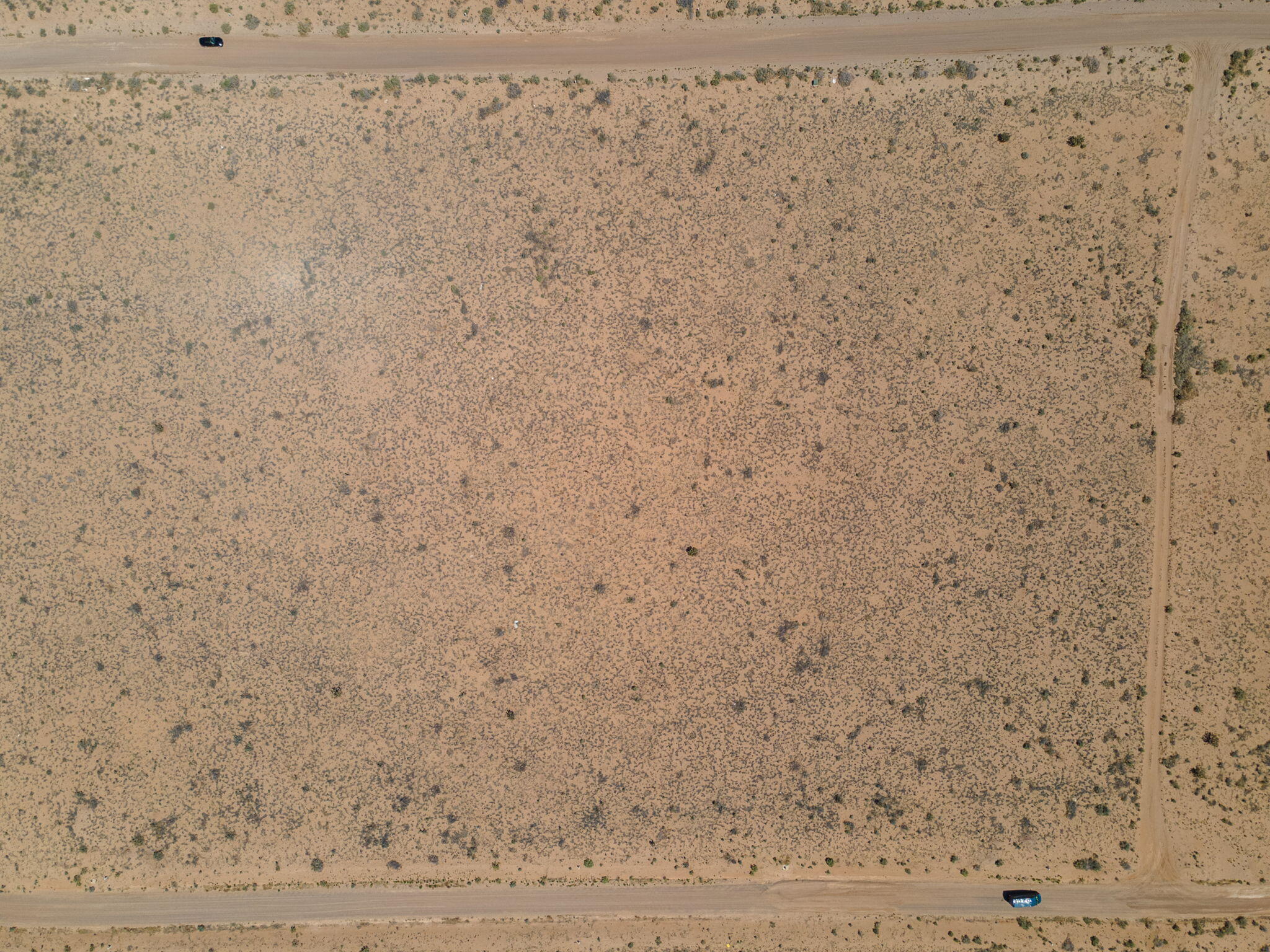 Starry Sky Avenue, Rio Rancho, New Mexico image 6