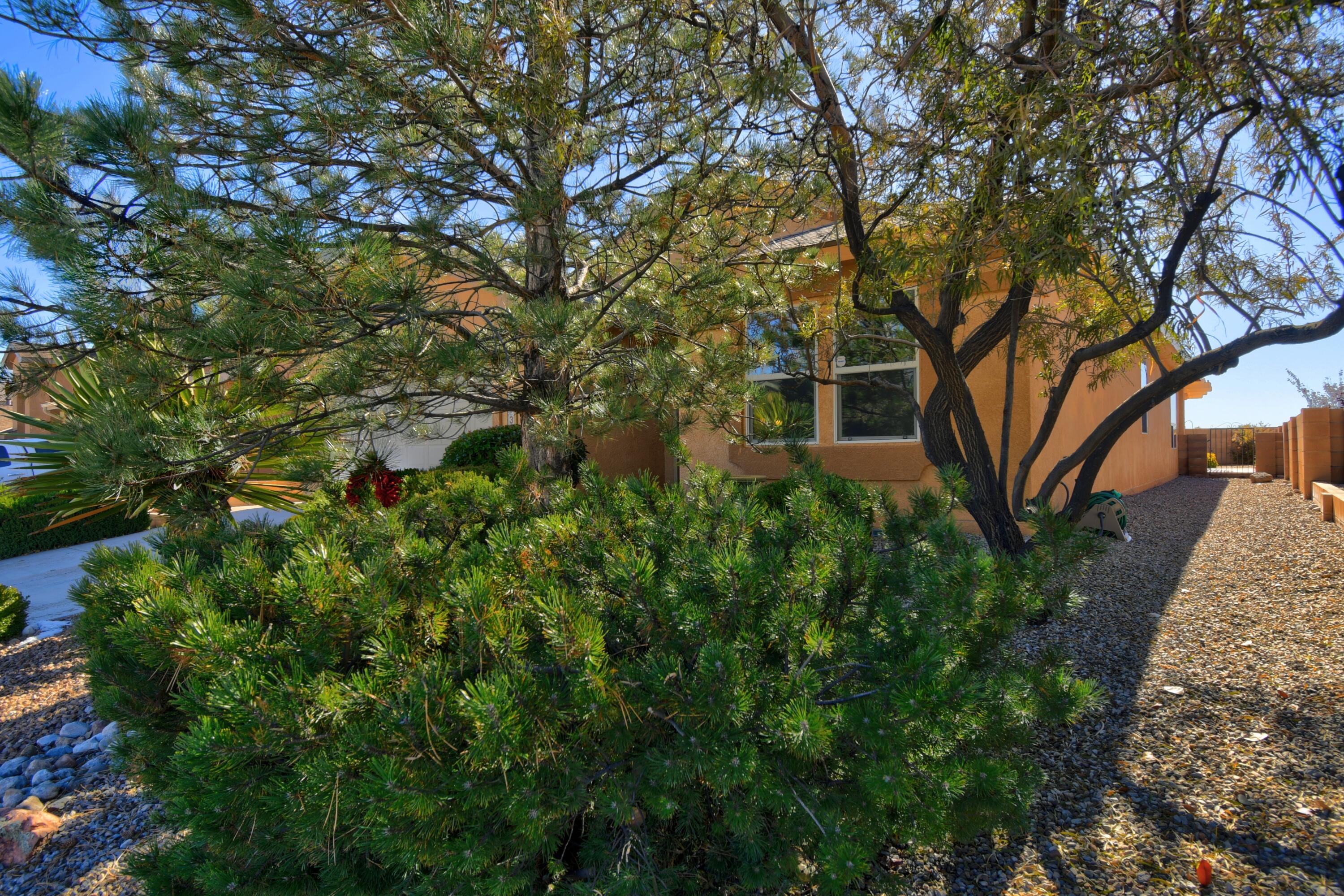 8136 Ventana Azul Avenue, Albuquerque, New Mexico image 3