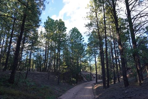 Photo of County Road B-52, Pecos, NM 87552 (MLS # 1092199)