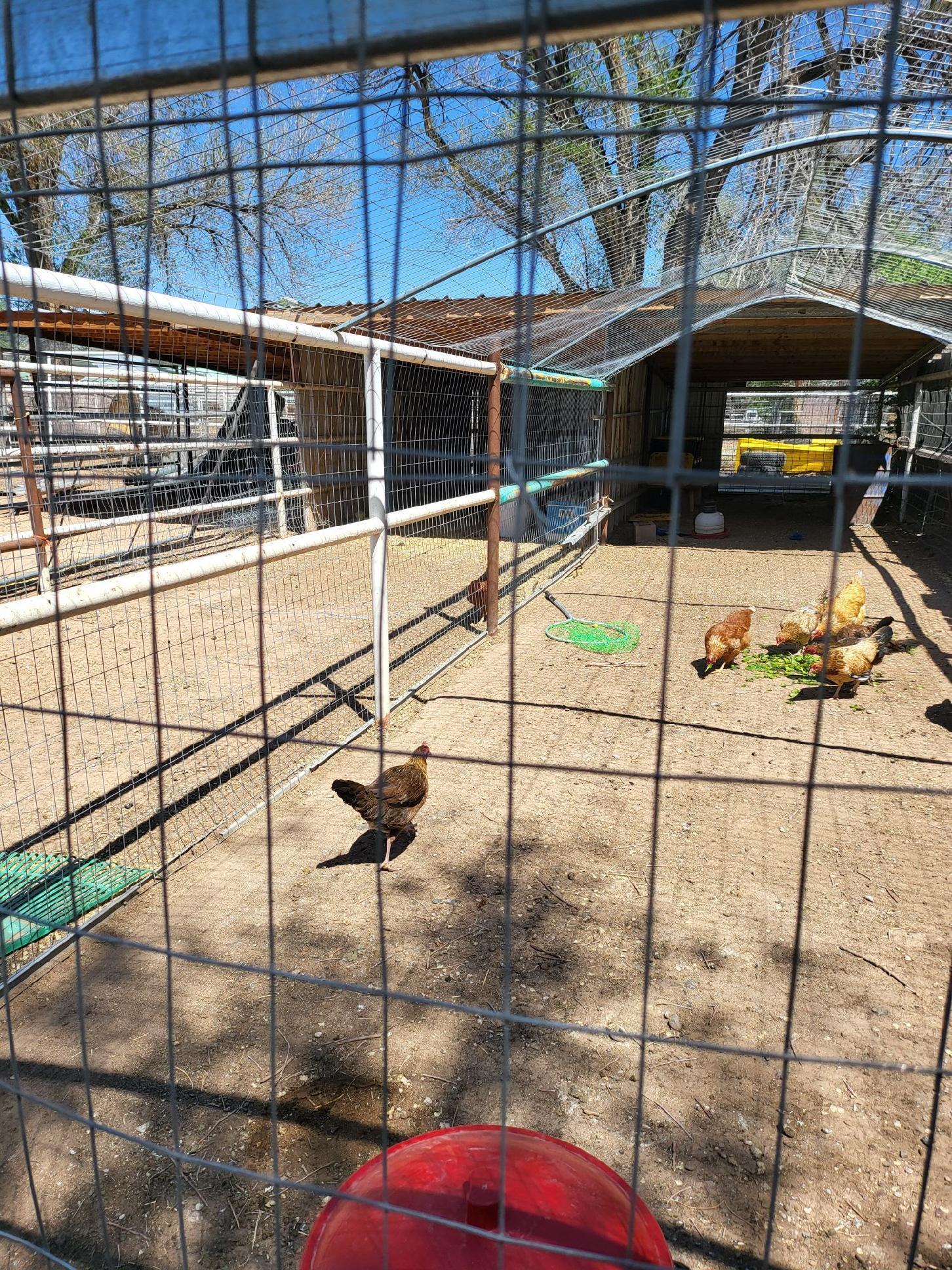 170 Esperanza Drive, Bosque Farms, New Mexico image 18