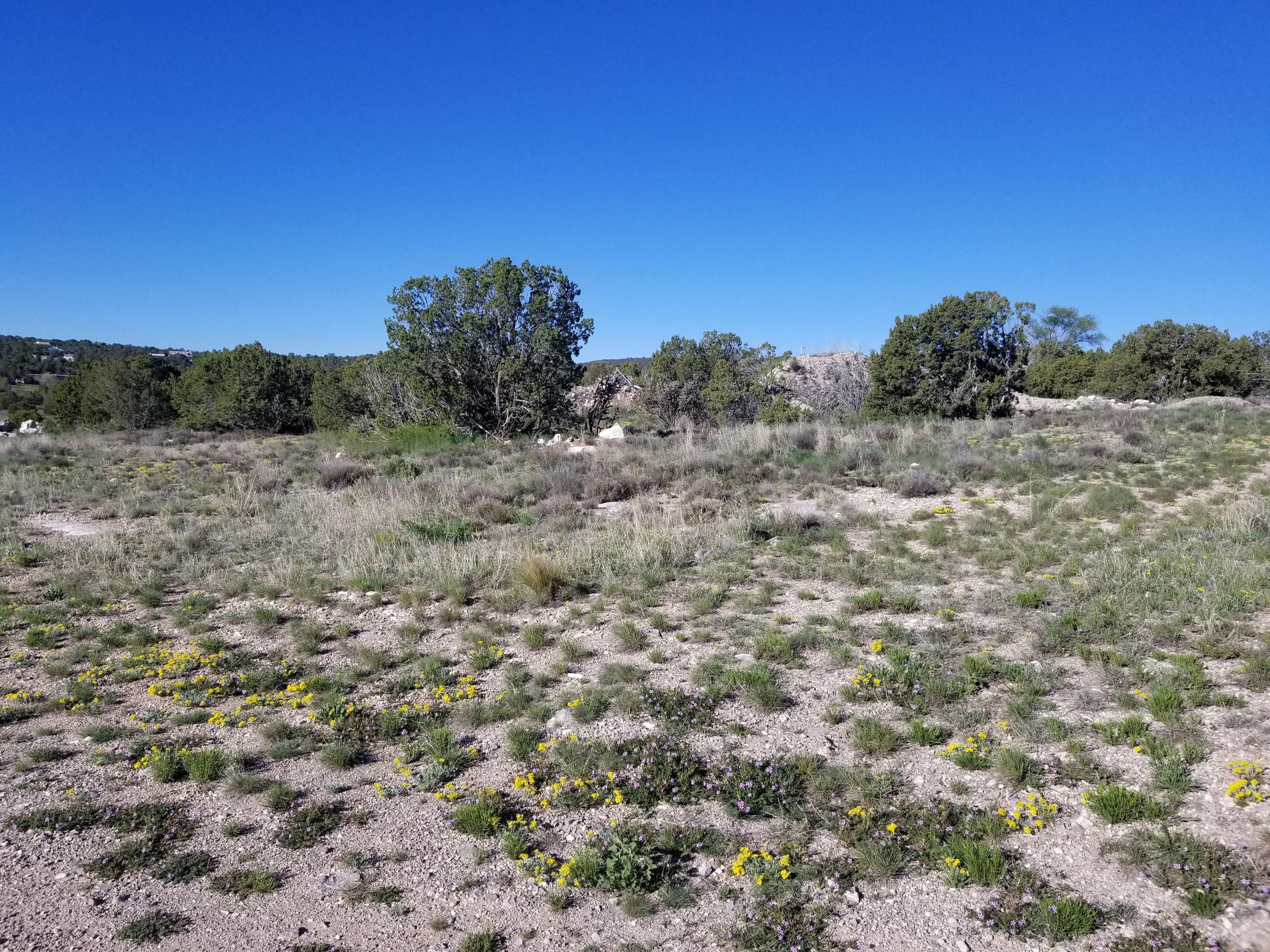 Walker Road, Edgewood, New Mexico image 1